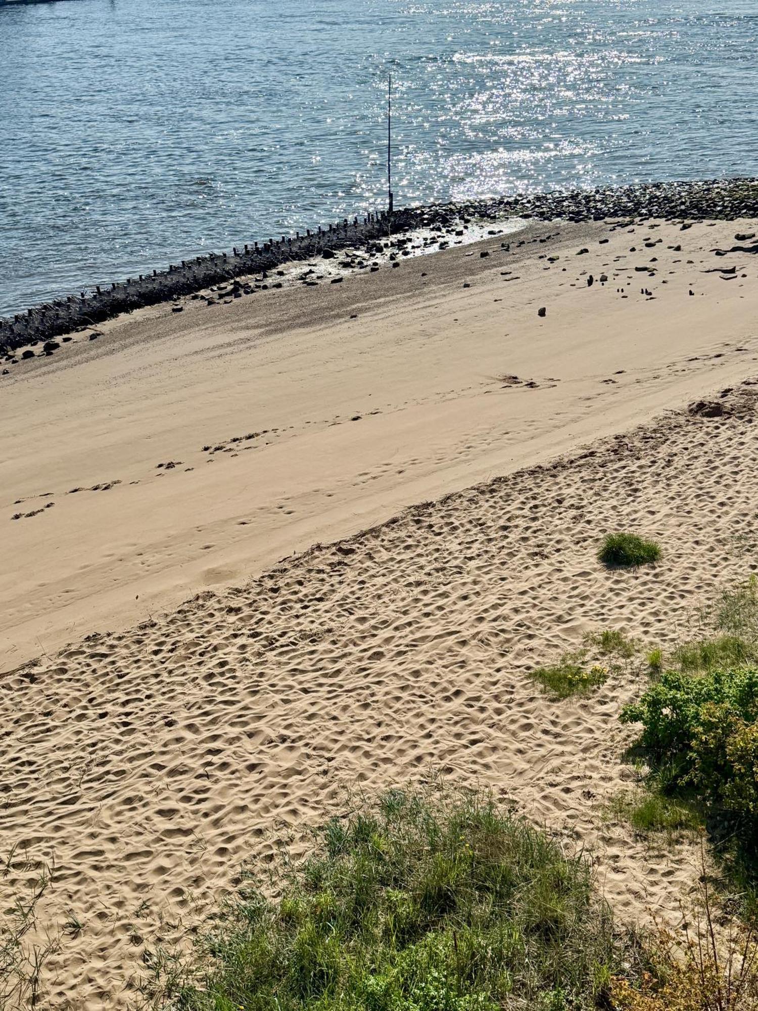 Gaestehaus Weserblick Am Weser-Sandstrand Berne Εξωτερικό φωτογραφία